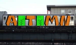 Bombing 1508159237202